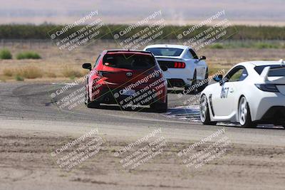 media/Oct-04-2025-OnGrid (Sat) [[44bd565ffa]]/Purple Group/Grapevine/